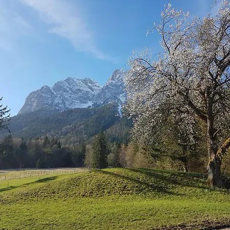 Zum Franziskaner Hotell 3*