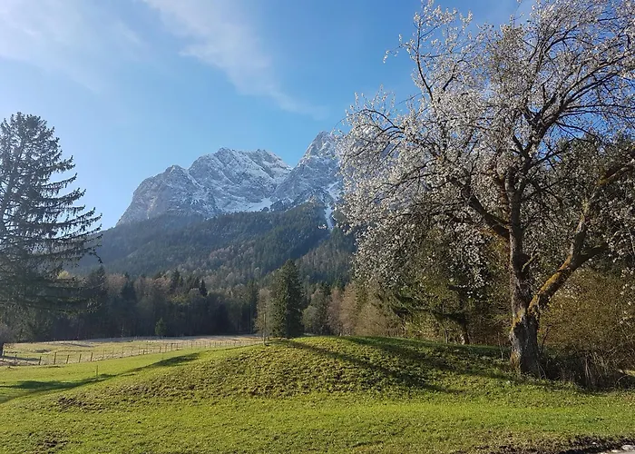Zum Franziskaner Hotel 3*