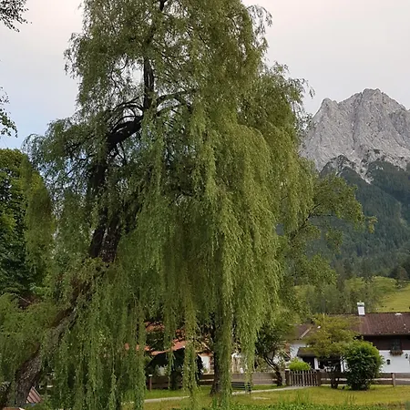 Zum Franziskaner