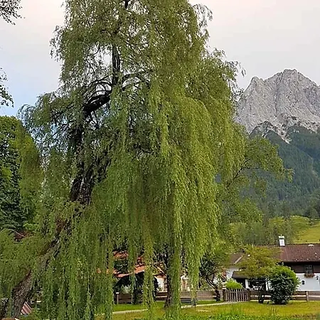 Zum Franziskaner Otel