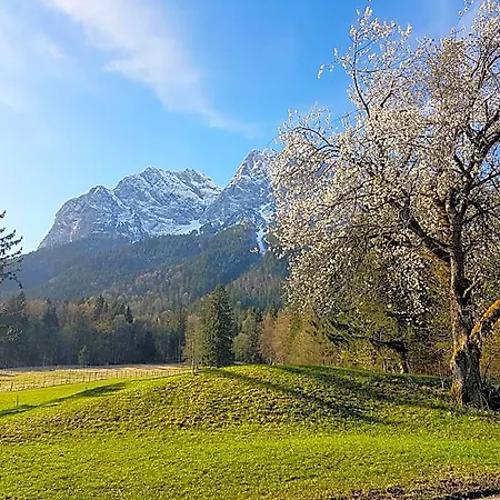 Otel Zum Franziskaner 3*