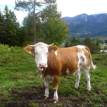 Zum Franziskaner 3*