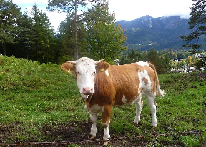 Zum Franziskaner 3*